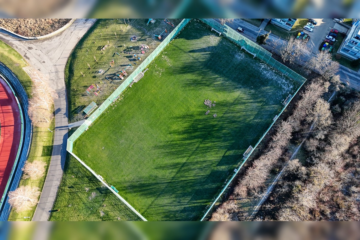 FOTO: Nové Mesto nad Váhom rieši problém s diviakmi, foto 3