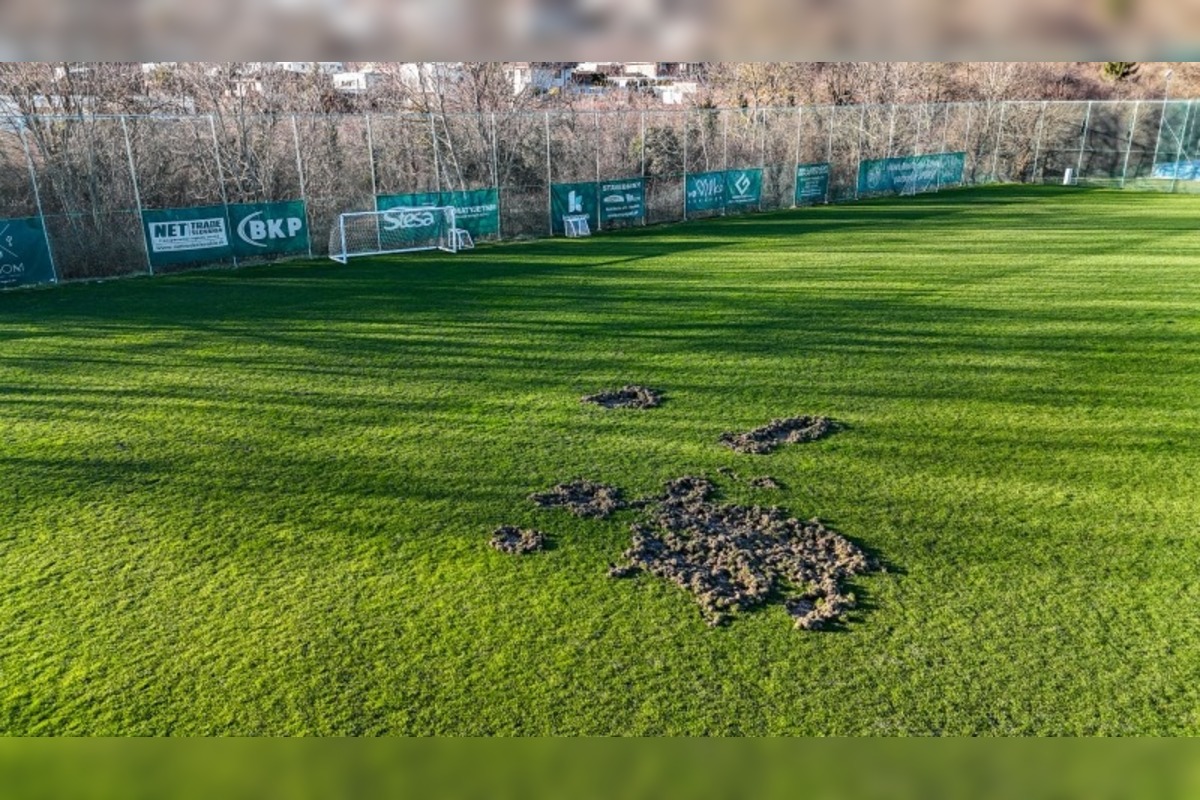 FOTO: Nové Mesto nad Váhom rieši problém s diviakmi, foto 4