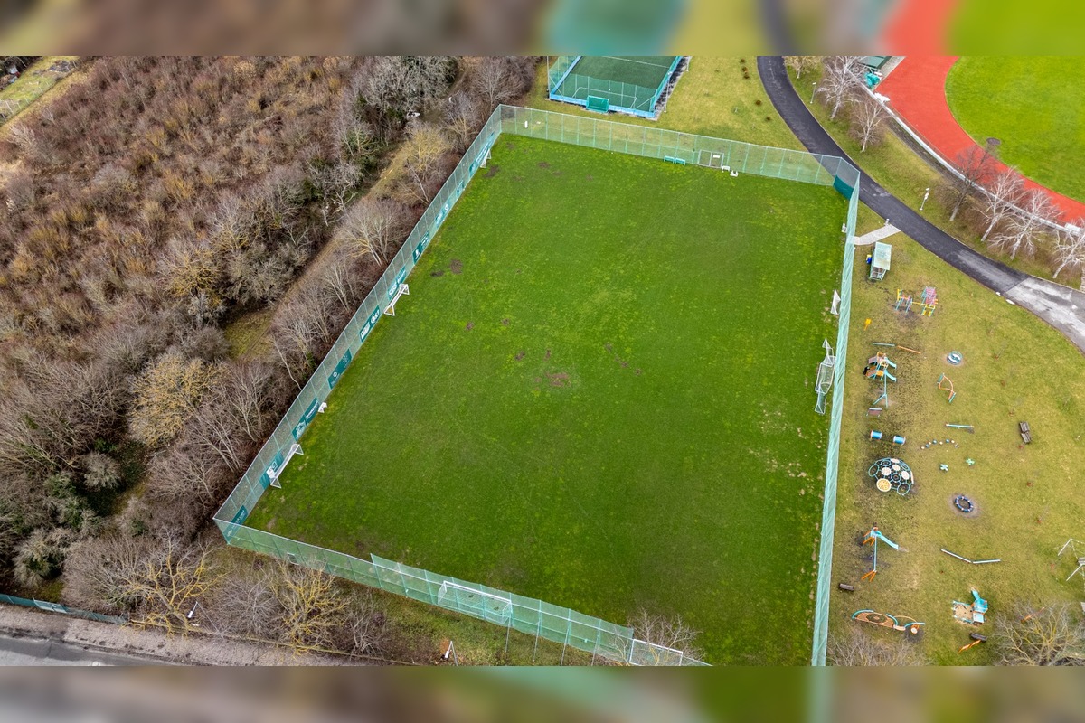 FOTO: Nové Mesto nad Váhom rieši problém s diviakmi, foto 5