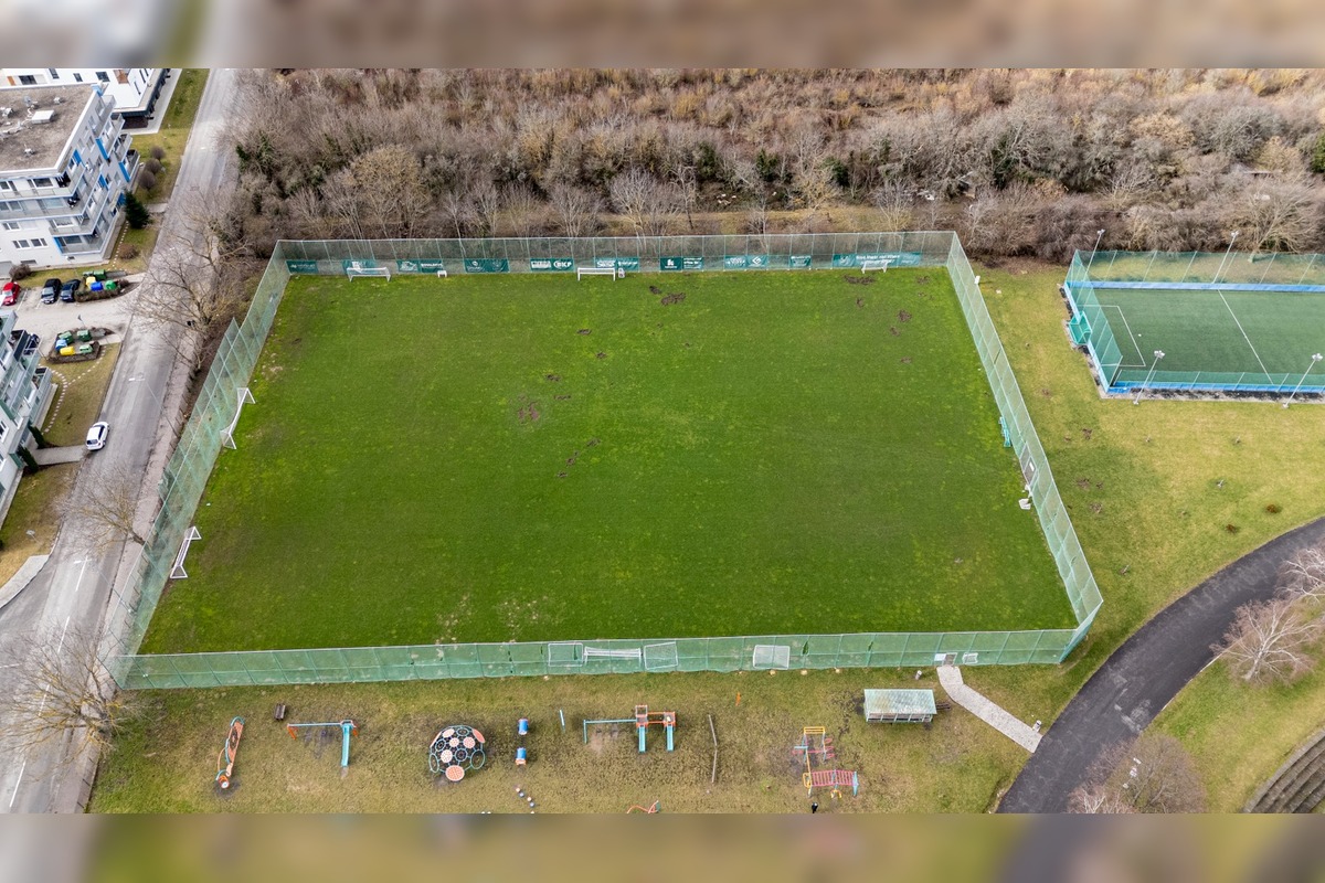 FOTO: Nové Mesto nad Váhom rieši problém s diviakmi, foto 6