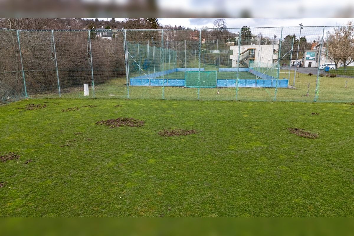 FOTO: Nové Mesto nad Váhom rieši problém s diviakmi, foto 7