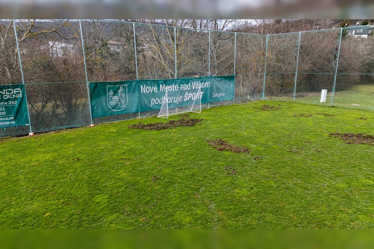 FOTO: Nové Mesto nad Váhom rieši problém s diviakmi, foto 8