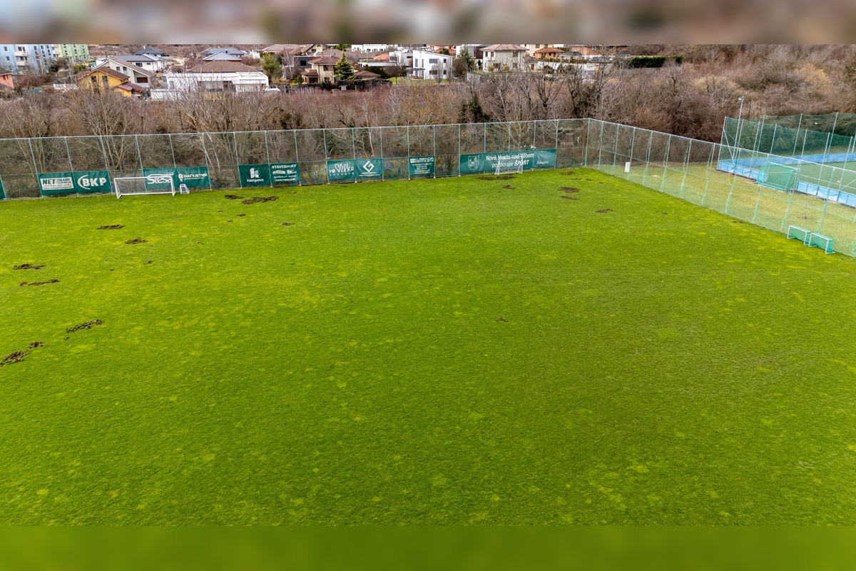 FOTO: Nové Mesto nad Váhom rieši problém s diviakmi, foto 10