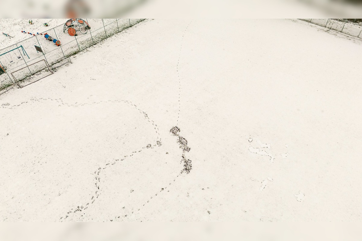 FOTO: Nové Mesto nad Váhom rieši problém s diviakmi, foto 11