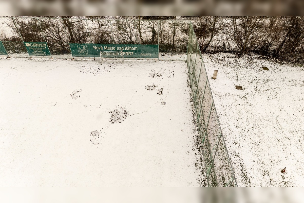 FOTO: Nové Mesto nad Váhom rieši problém s diviakmi, foto 12