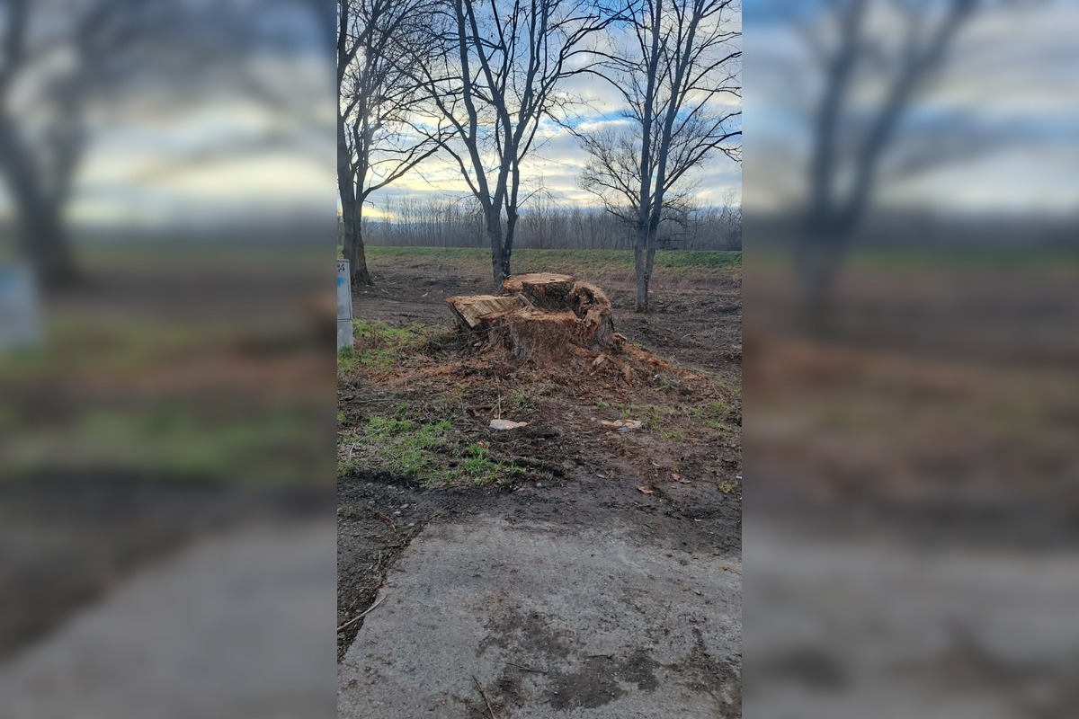 FOTO: V rekreačnej oblasti Zelená voda prebieha razia enviropolície , foto 1