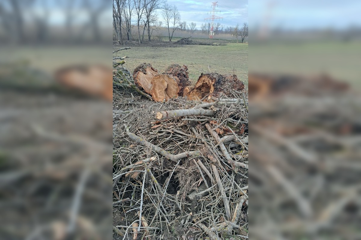 FOTO: V rekreačnej oblasti Zelená voda prebieha razia enviropolície , foto 6