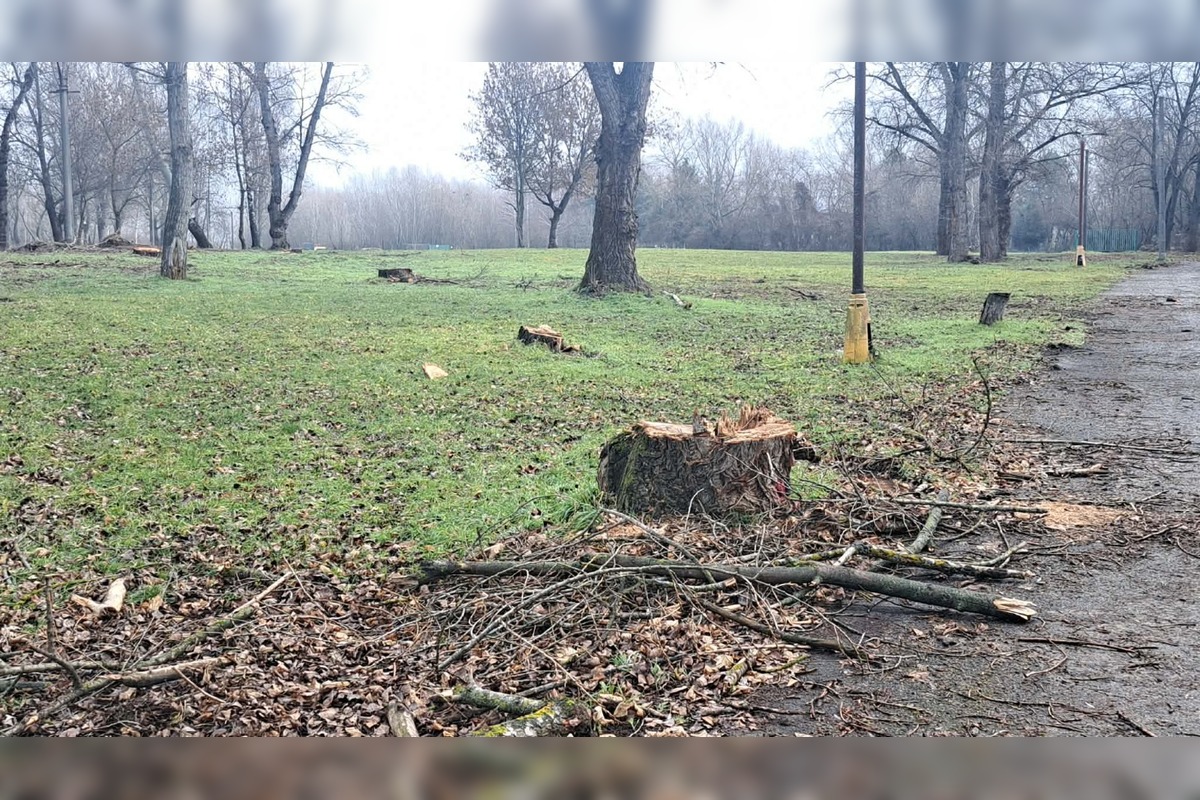 FOTO: V rekreačnej oblasti Zelená voda prebieha razia enviropolície , foto 8