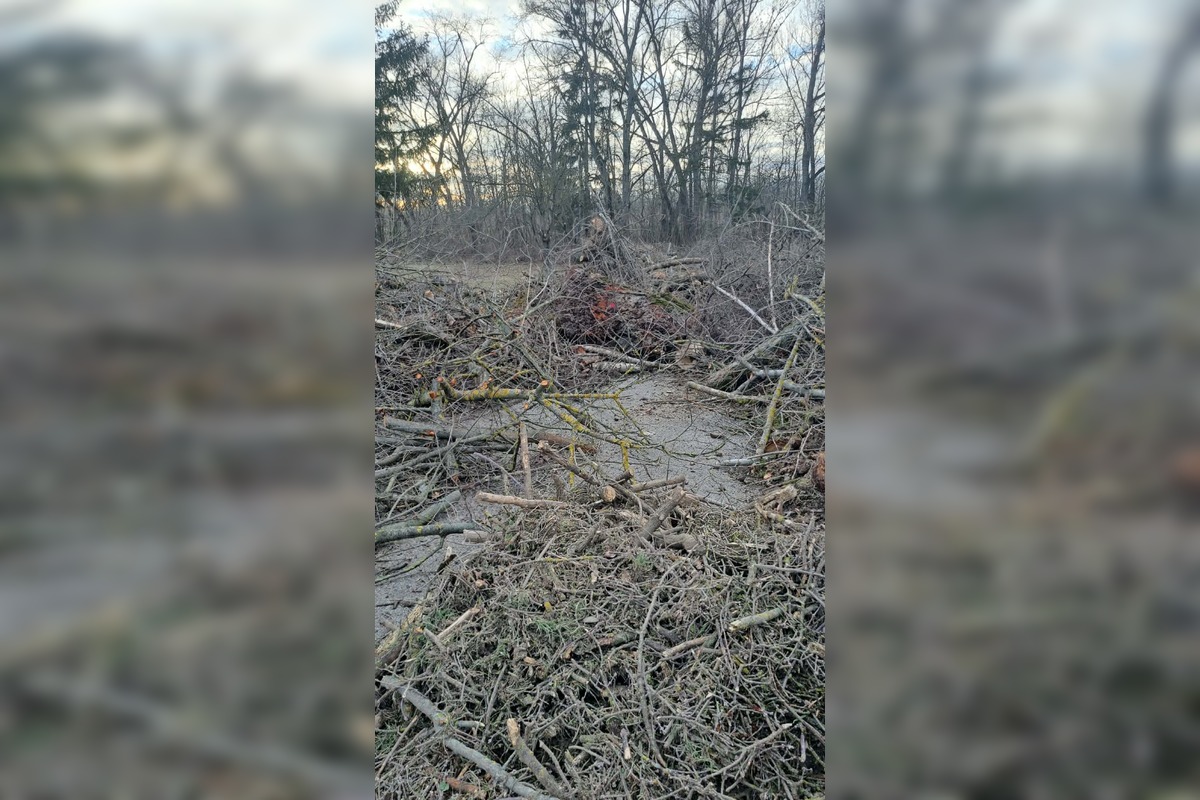 FOTO: V rekreačnej oblasti Zelená voda prebieha razia enviropolície , foto 9