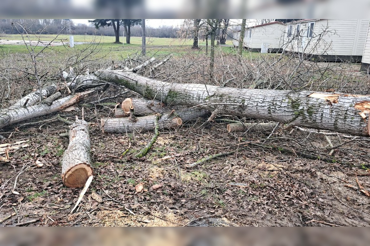 FOTO: V rekreačnej oblasti Zelená voda prebieha razia enviropolície , foto 10