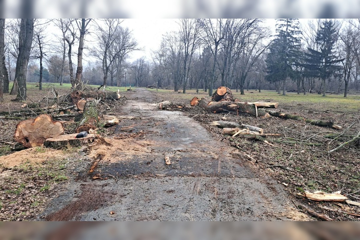 FOTO: V rekreačnej oblasti Zelená voda prebieha razia enviropolície , foto 11