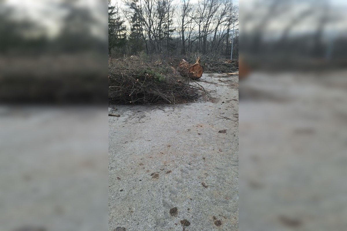 FOTO: V rekreačnej oblasti Zelená voda prebieha razia enviropolície , foto 14
