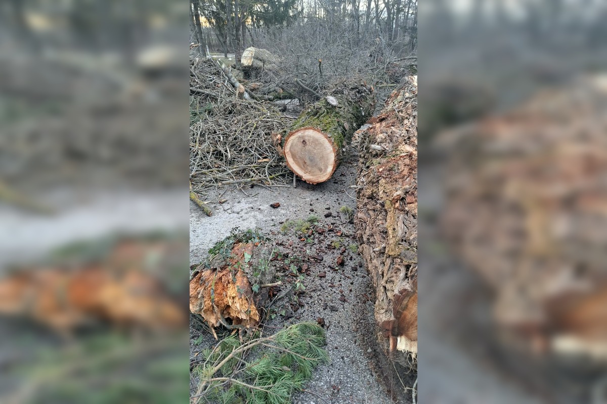 FOTO: V rekreačnej oblasti Zelená voda prebieha razia enviropolície , foto 15