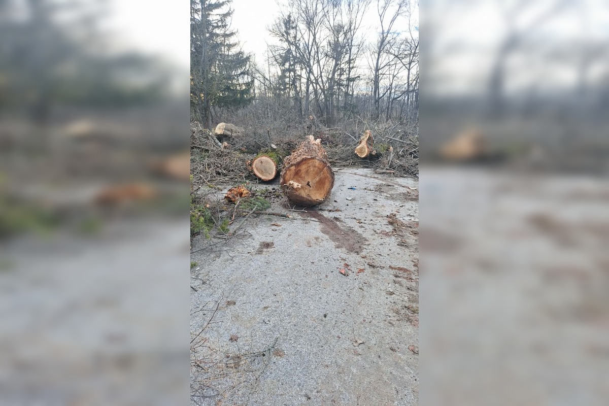 FOTO: V rekreačnej oblasti Zelená voda prebieha razia enviropolície , foto 17