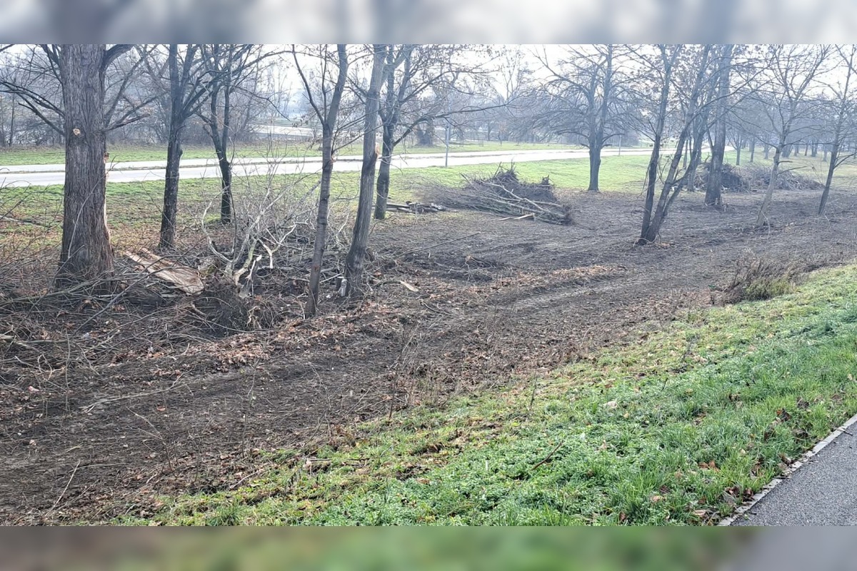FOTO: V rekreačnej oblasti Zelená voda prebieha razia enviropolície , foto 19