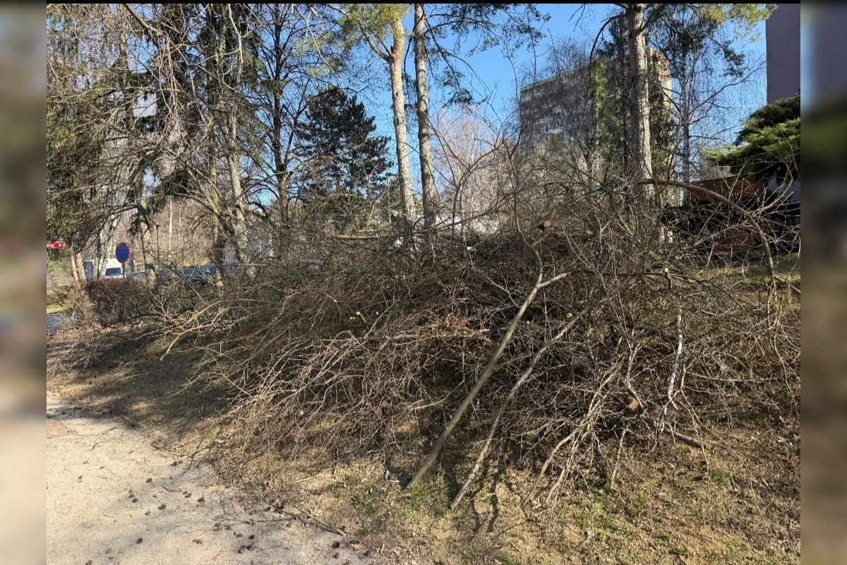 FOTO: Obyvatelia aj firmy nelegálne poškodili verejnú zeleň, prípadmi sa zaoberá enviropolícia , foto 6