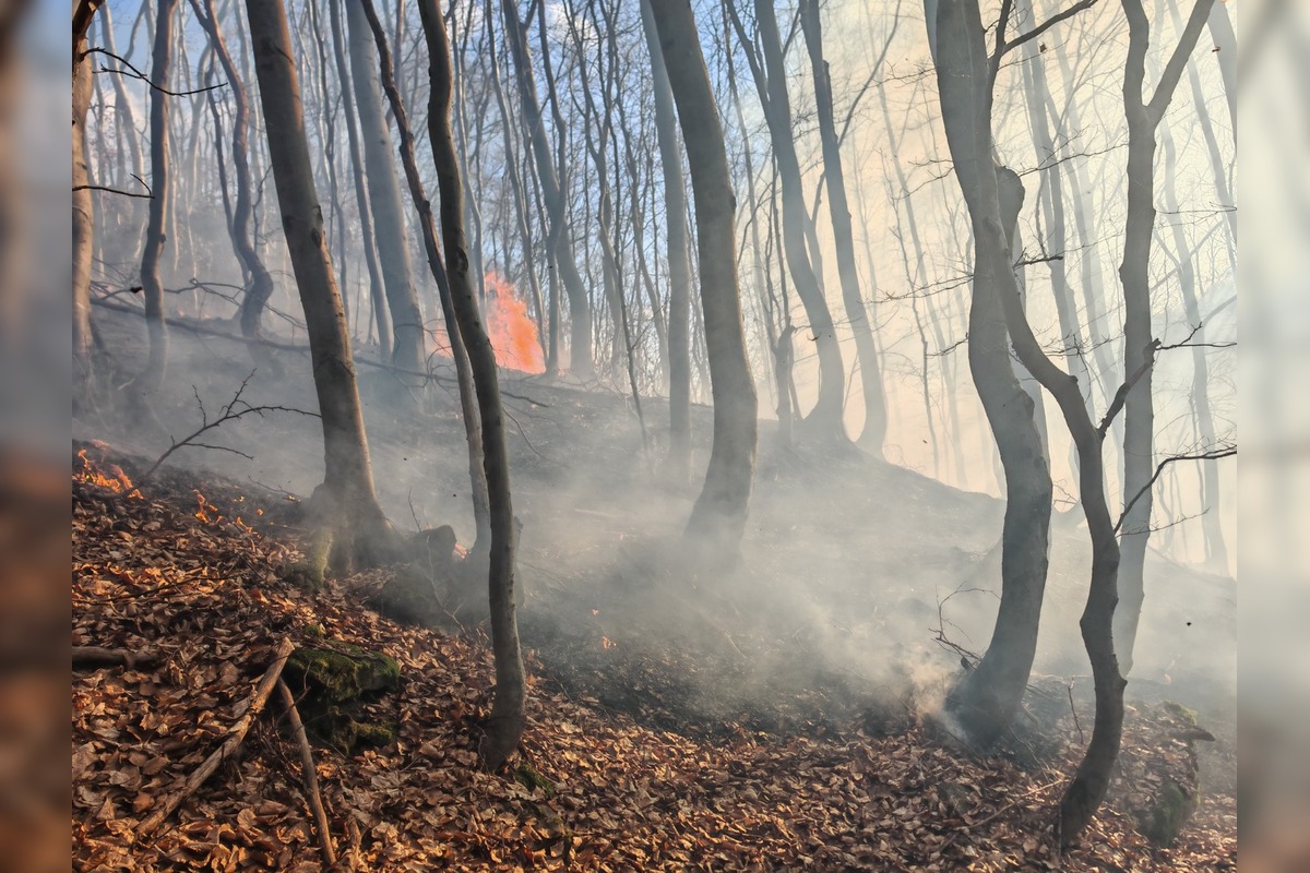 FOTO: Požiar lesa pri Dolnej Maríkovej zamestnal desiatky hasičov, foto 14