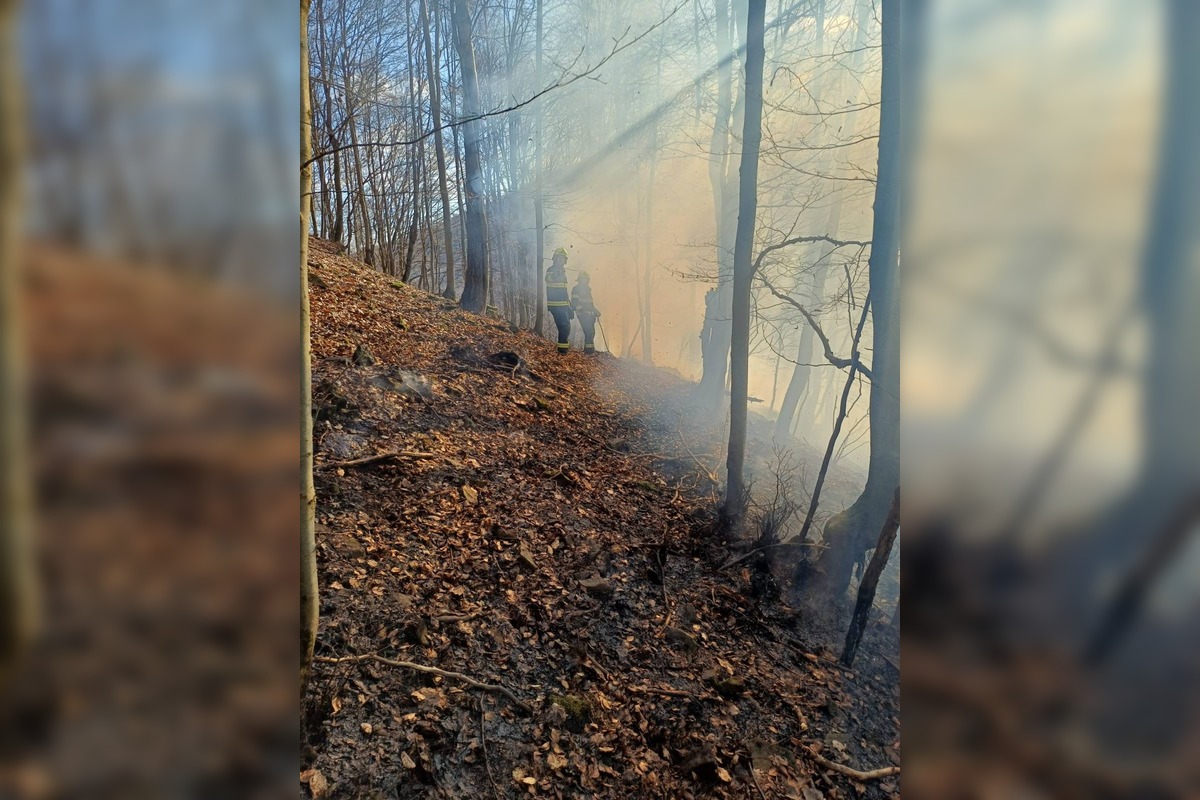 FOTO: Požiar lesa pri Dolnej Maríkovej zamestnal desiatky hasičov, foto 7