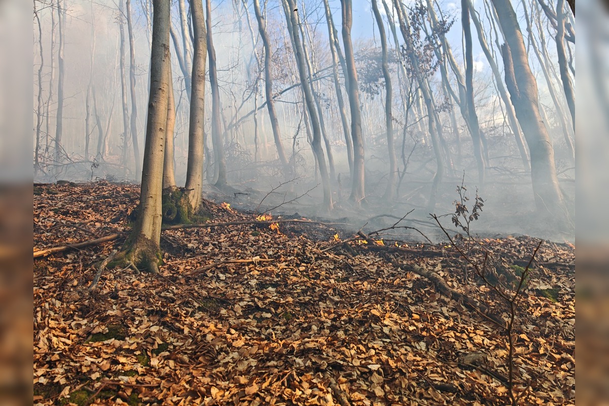 FOTO: Požiar lesa pri Dolnej Maríkovej zamestnal desiatky hasičov, foto 8