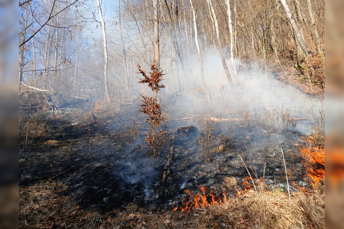 FOTO: Požiar lesa pri Dolnej Maríkovej zamestnal desiatky hasičov, foto 13