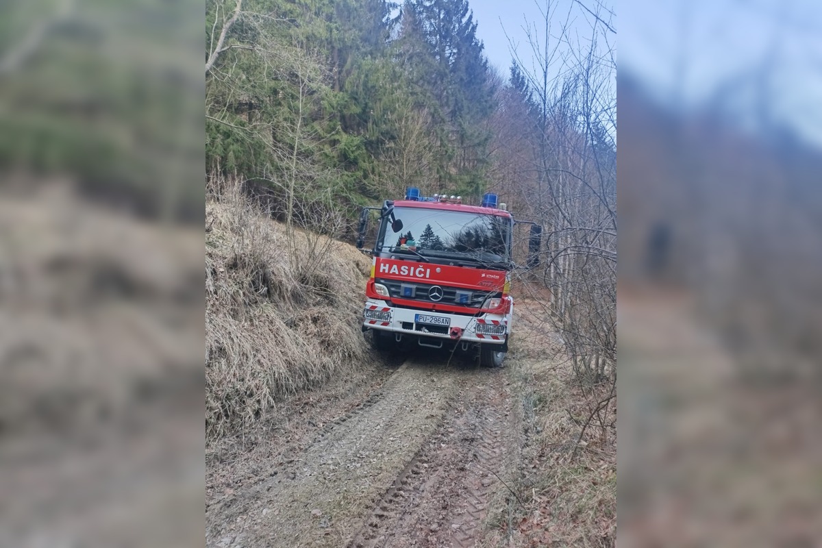 FOTO: Požiar lesa pri Dolnej Maríkovej zamestnal desiatky hasičov, foto 4