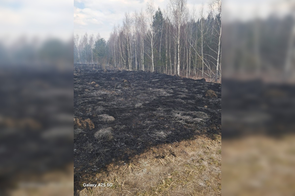 FOTO: V Handlovej horel trávnatý porast, vyžiadal si zásah mestkých policajtov aj hasičov, foto 4