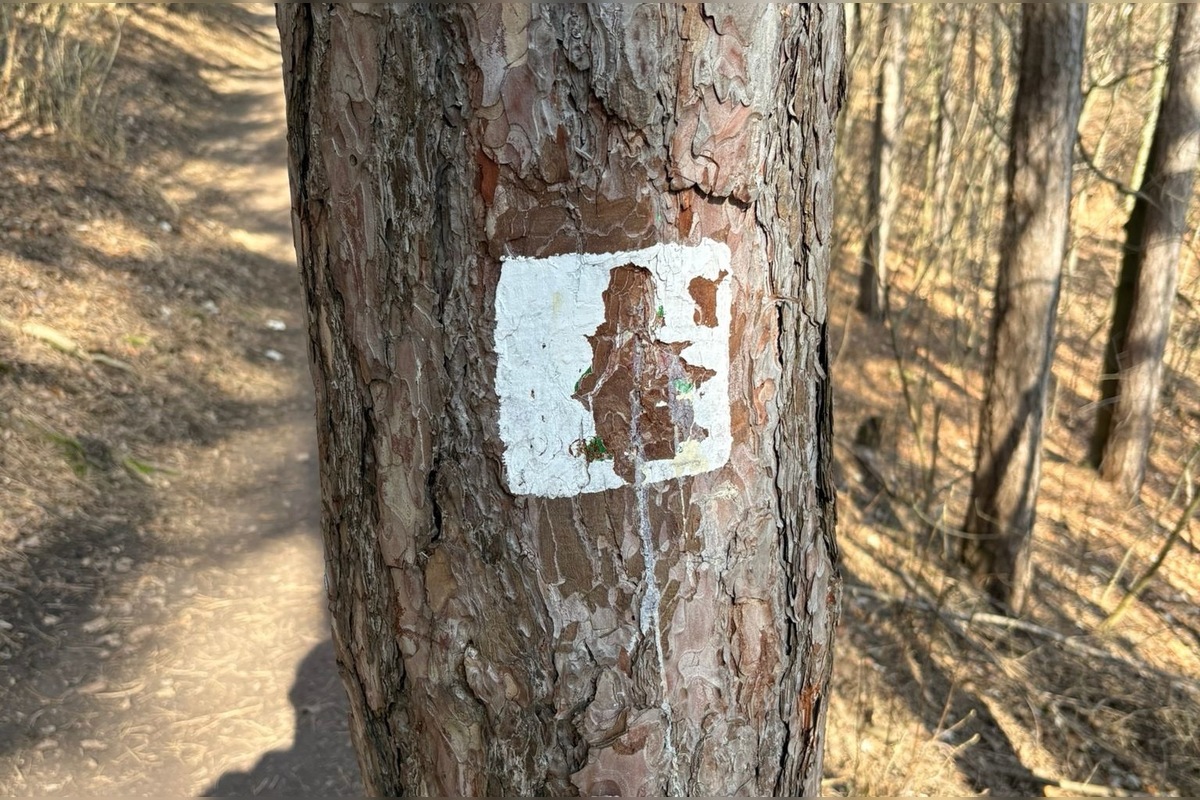 FOTO: Lesopark Brezina čelí vandalom, foto 2