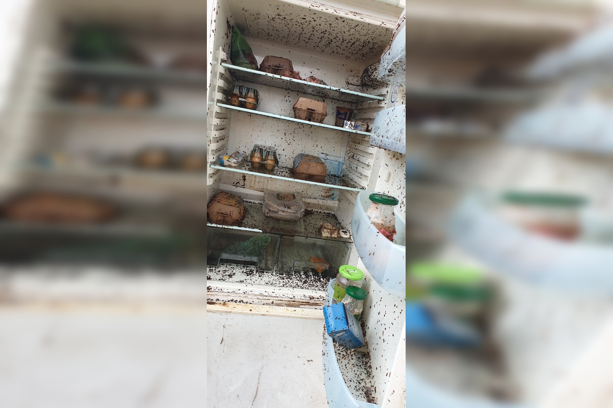 FOTO: Chladnička s nečakaným obsahom, foto 1