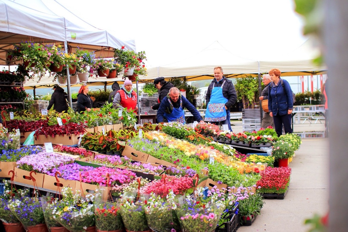 FOTO: Záhradkársky veľtrh v Trenčíne, foto 1