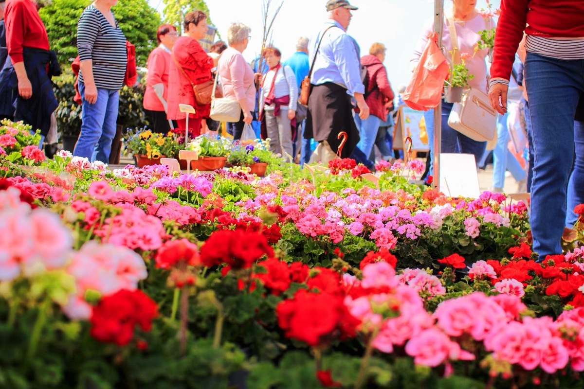 FOTO: Záhradkársky veľtrh v Trenčíne, foto 2