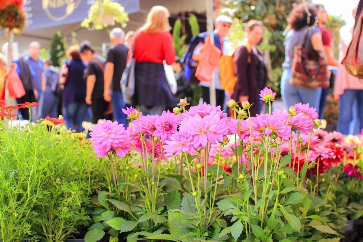 FOTO: Záhradkársky veľtrh v Trenčíne, foto 3