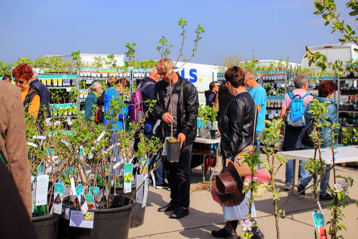 FOTO: Záhradkársky veľtrh v Trenčíne, foto 5