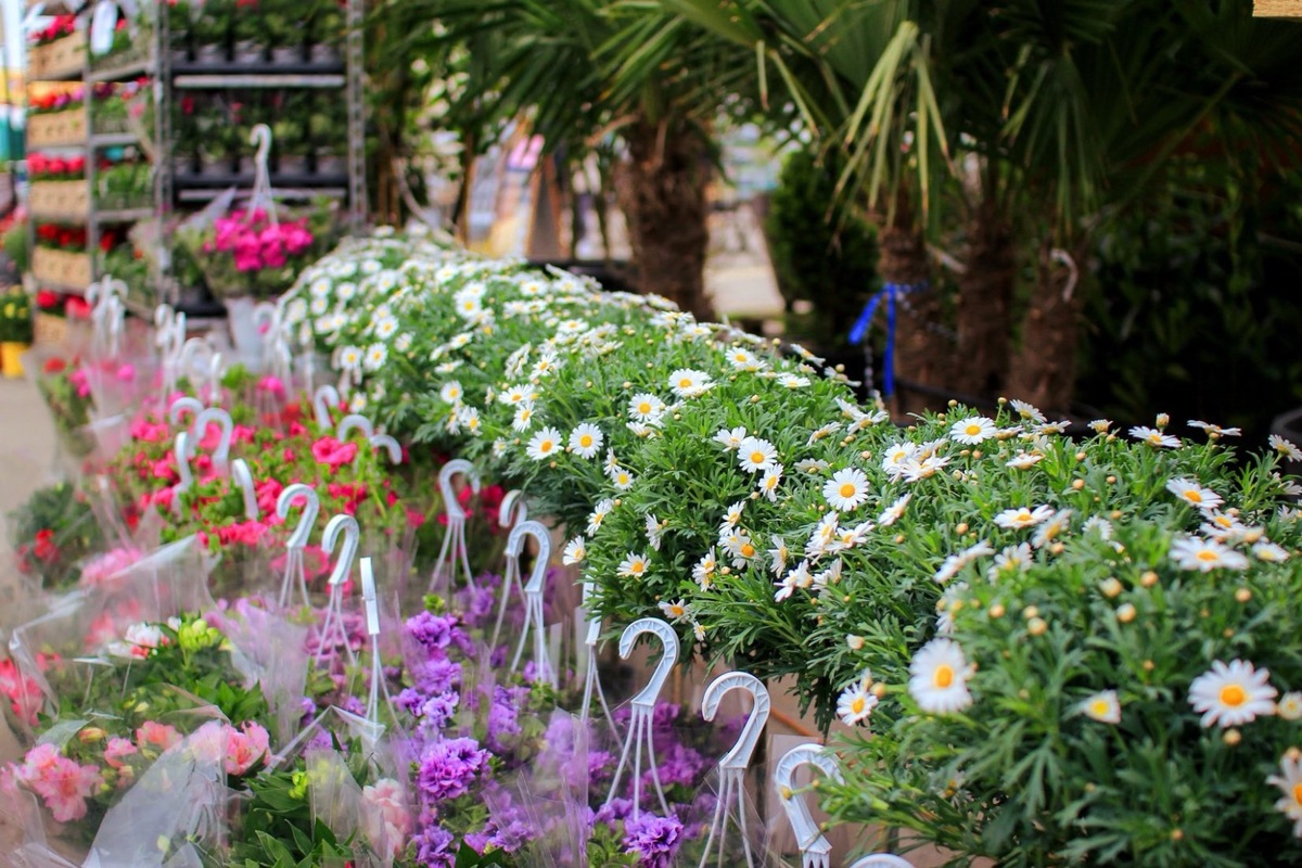 FOTO: Záhradkársky veľtrh v Trenčíne, foto 7