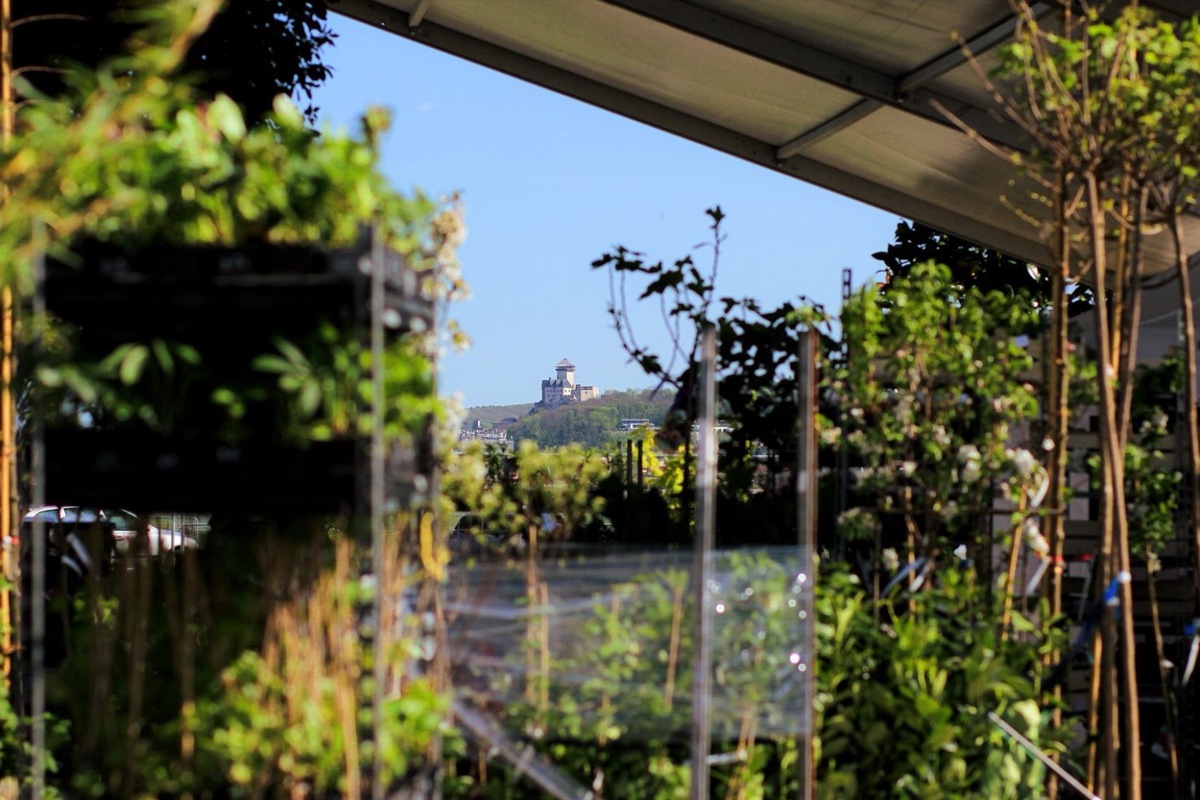 FOTO: Záhradkársky veľtrh v Trenčíne, foto 10