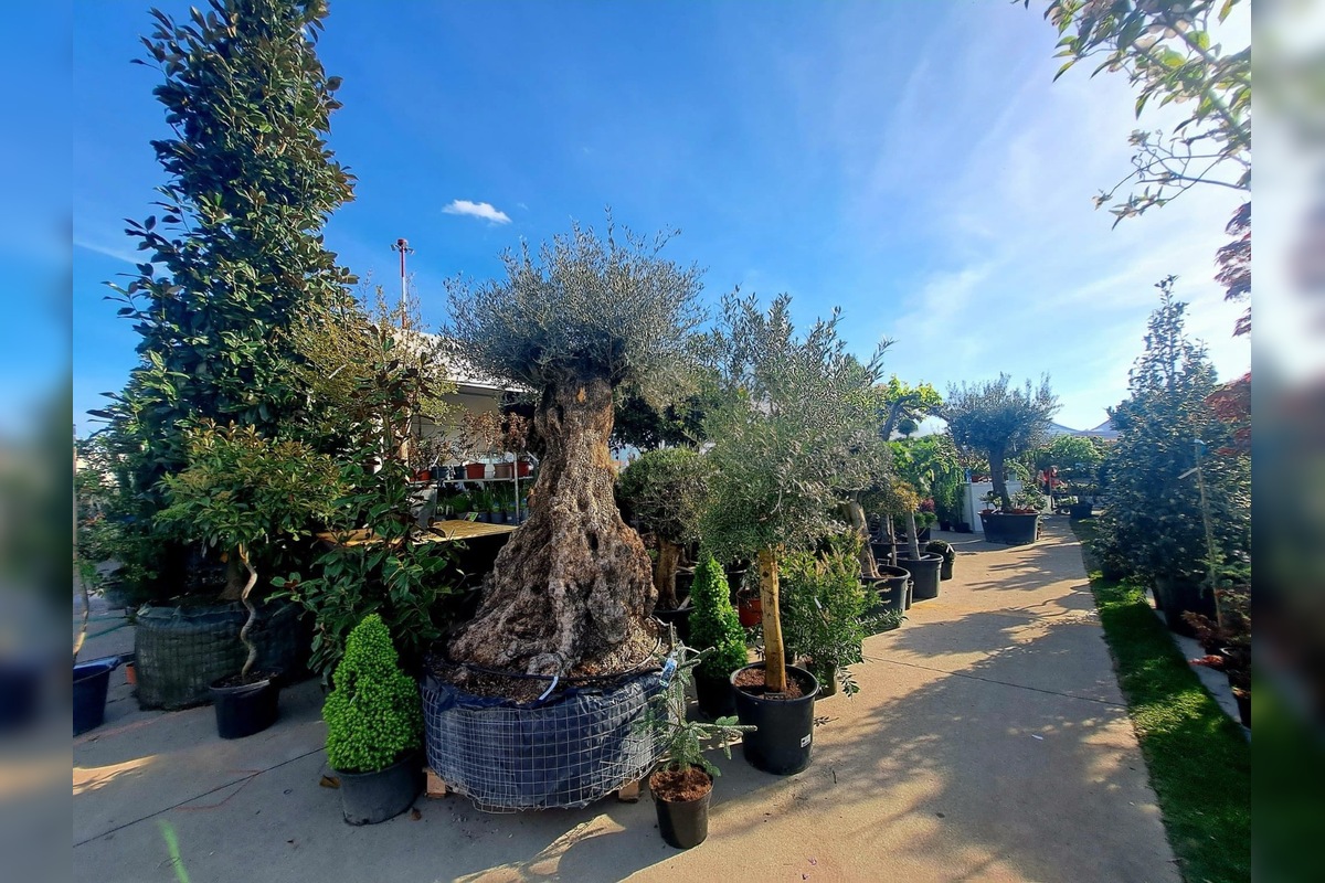 FOTO: Záhradkársky veľtrh v Trenčíne, foto 13