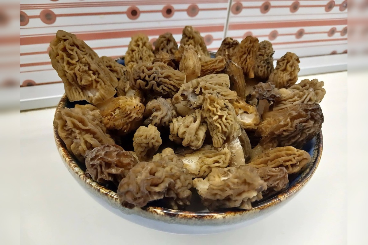 FOTO: Lesy v Trenčíne a okolí sa prebúdajú, foto 3