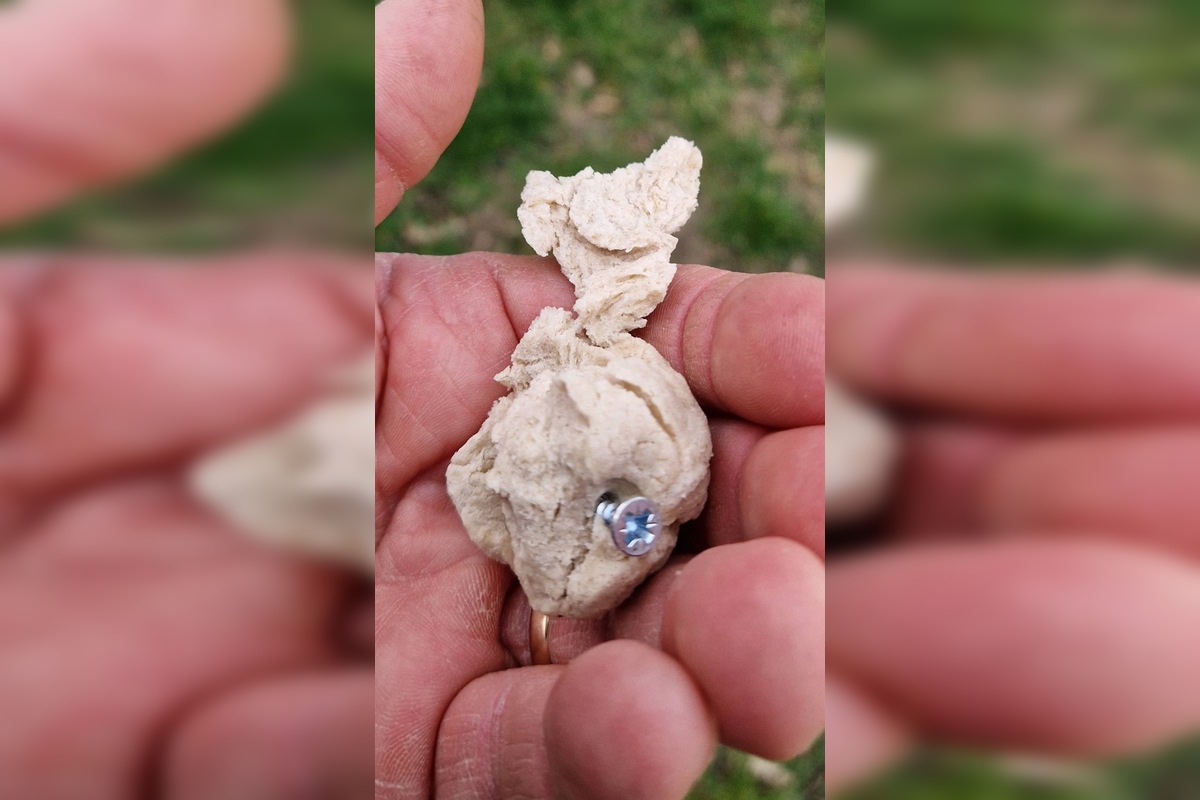 FOTO: V trenčianskom Zámostí sa objavili podozrivé návnady, foto 1