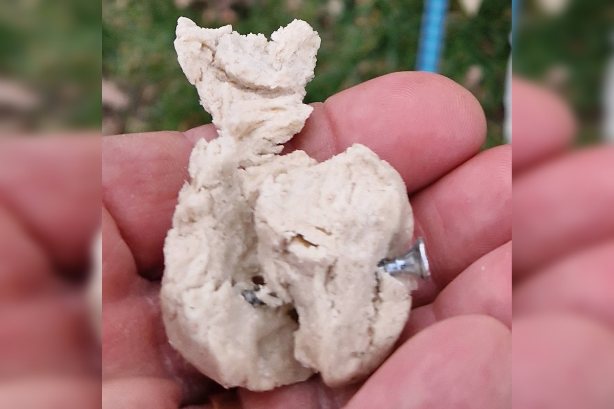 FOTO: V trenčianskom Zámostí sa objavili podozrivé návnady, foto 2