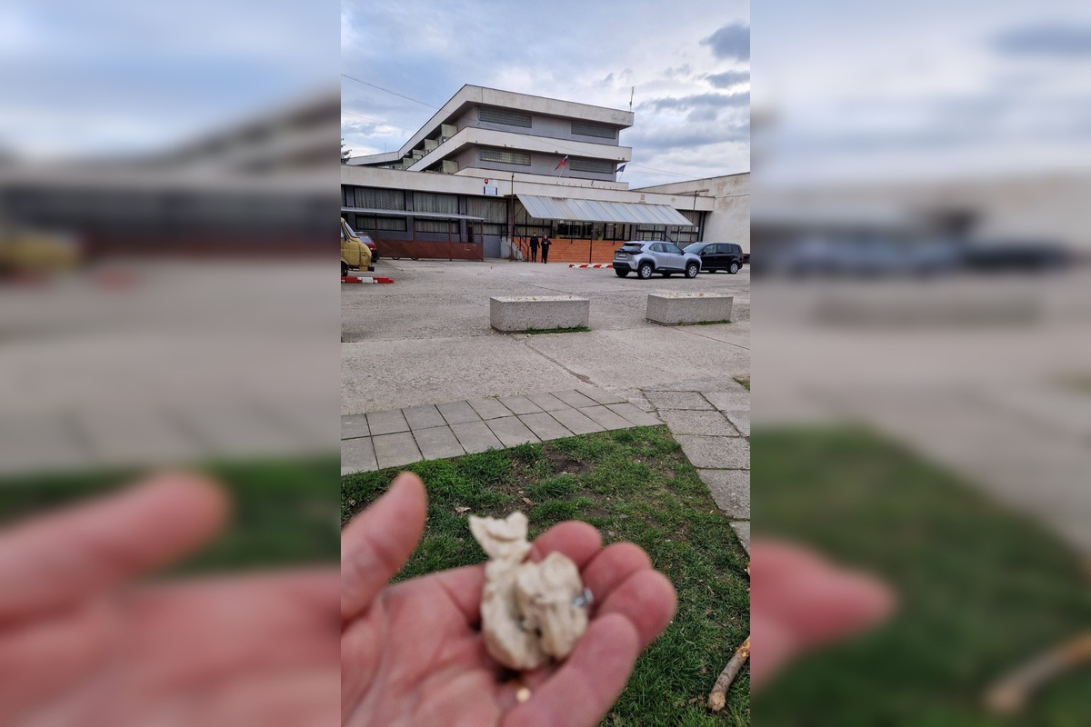 FOTO: V trenčianskom Zámostí sa objavili podozrivé návnady, foto 3