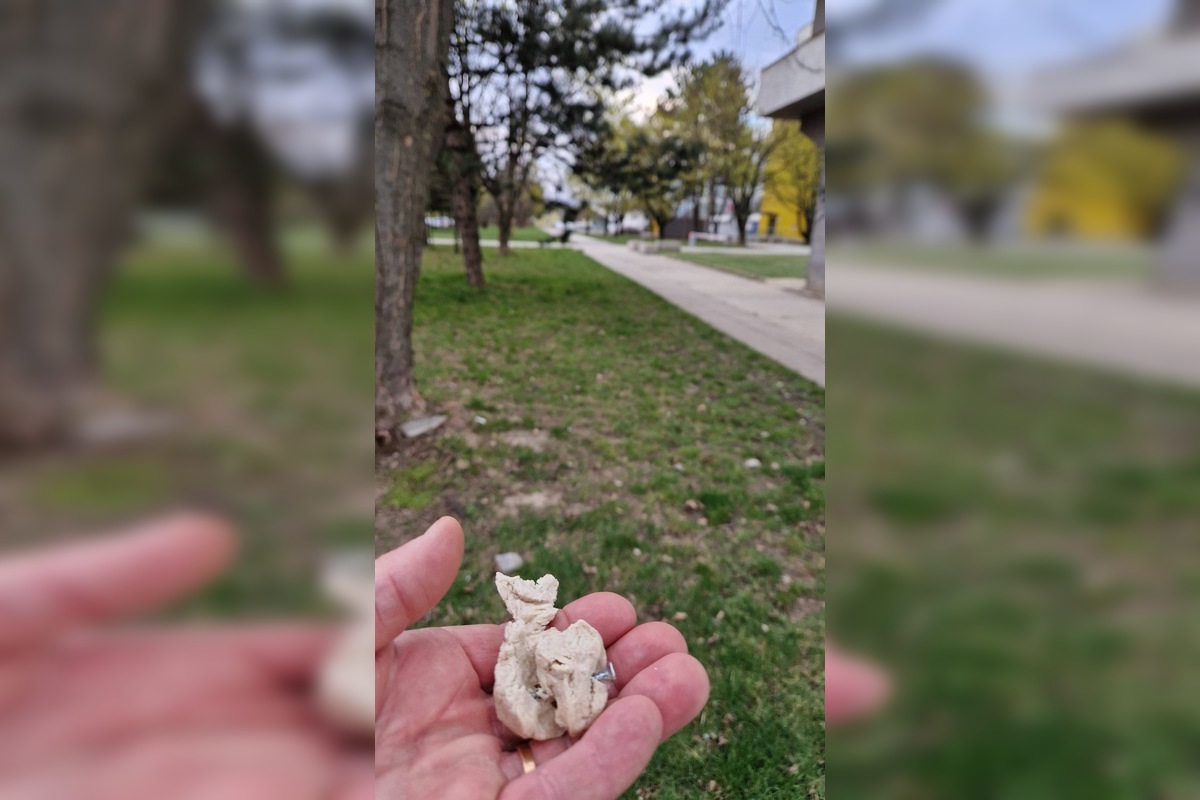 FOTO: V trenčianskom Zámostí sa objavili podozrivé návnady, foto 4