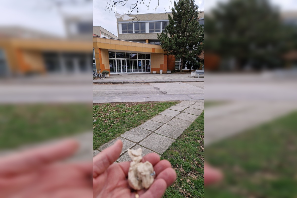 FOTO: V trenčianskom Zámostí sa objavili podozrivé návnady, foto 5