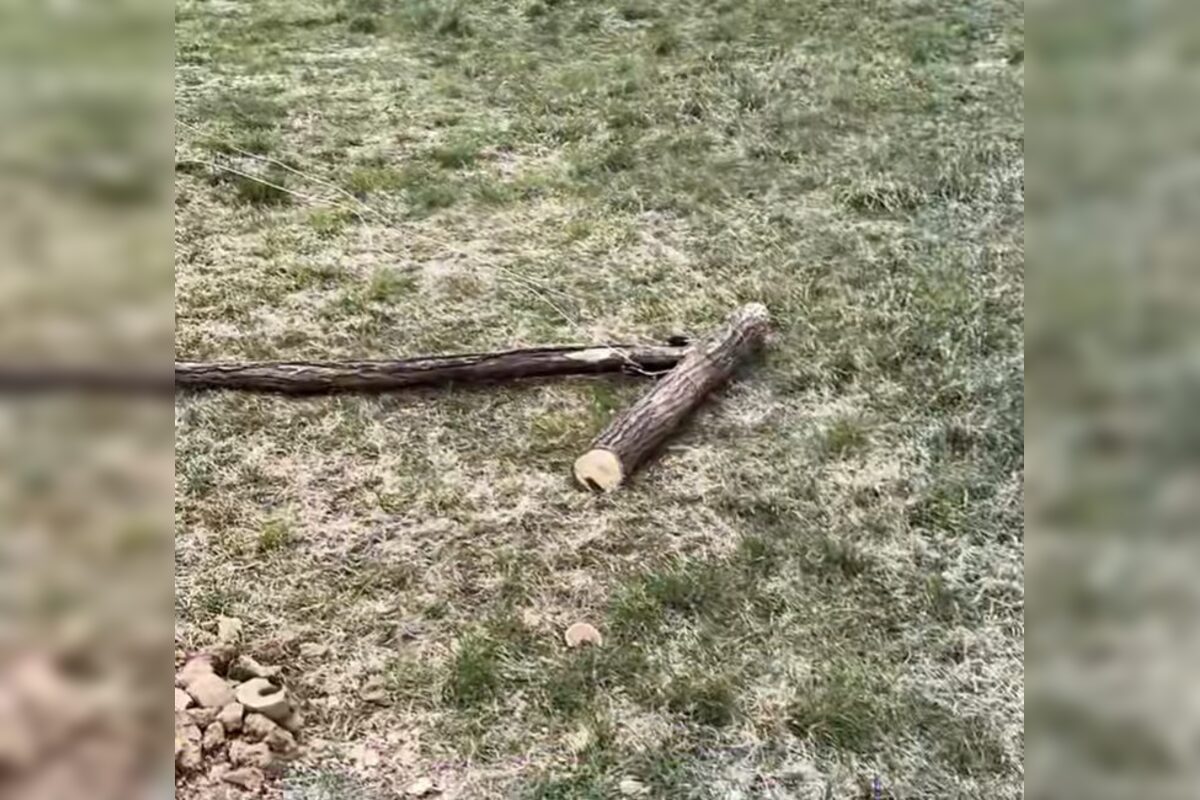 FOTO: Vandali poškodili a znehodnotili novú ohradu pre kravy v katastri obce Melčice v novom meste nad Váhom, foto 2