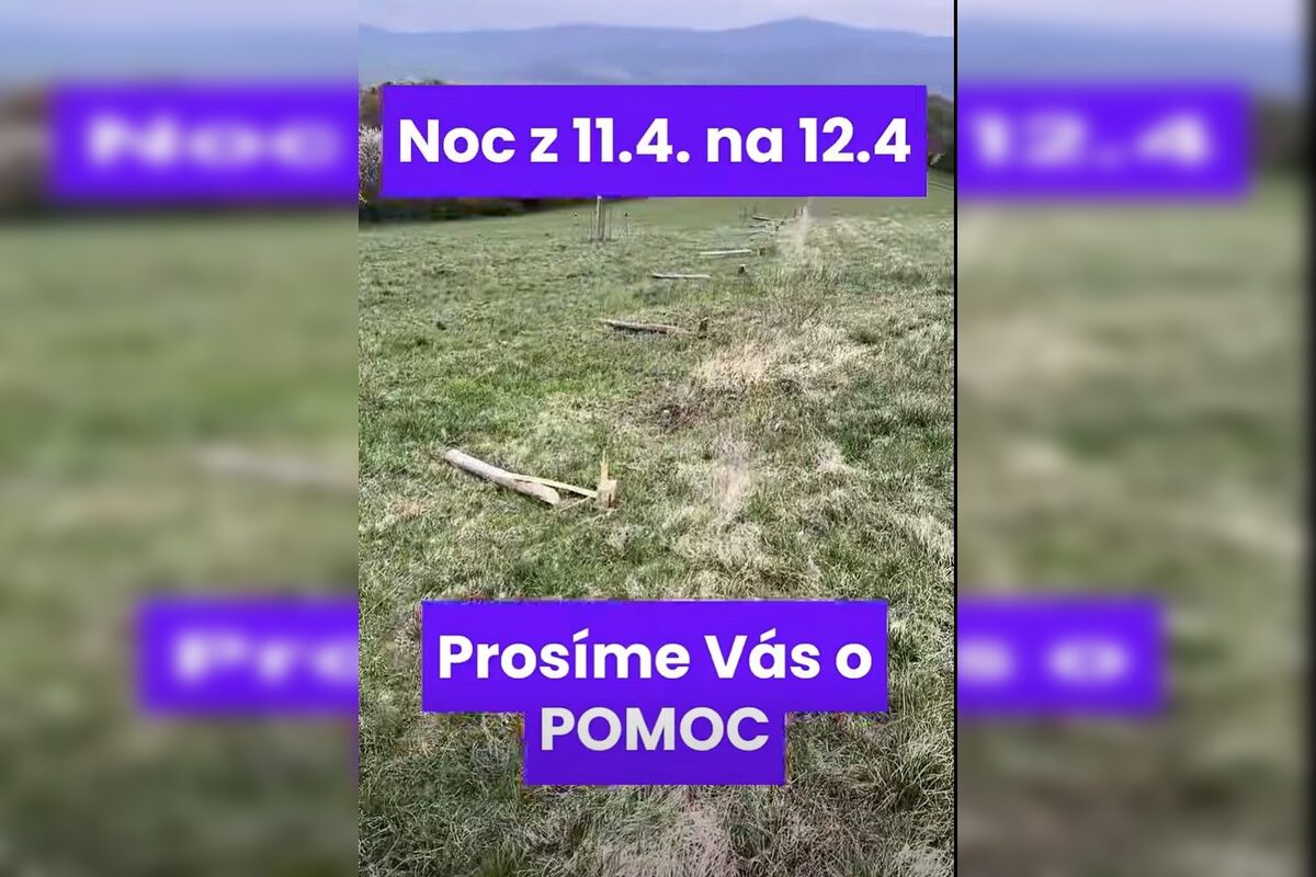 FOTO: Vandali poškodili a znehodnotili novú ohradu pre kravy v katastri obce Melčice v novom meste nad Váhom, foto 3