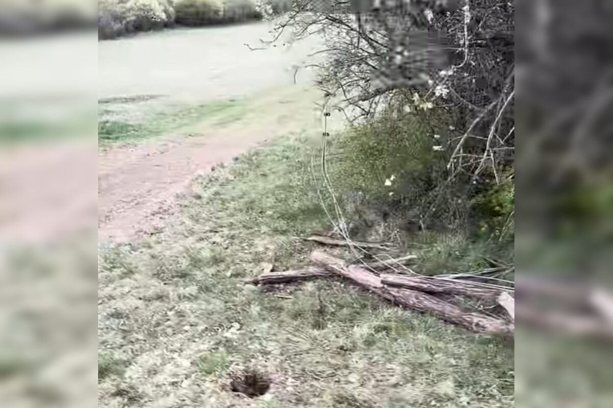 FOTO: Vandali poškodili a znehodnotili novú ohradu pre kravy v katastri obce Melčice v novom meste nad Váhom, foto 4