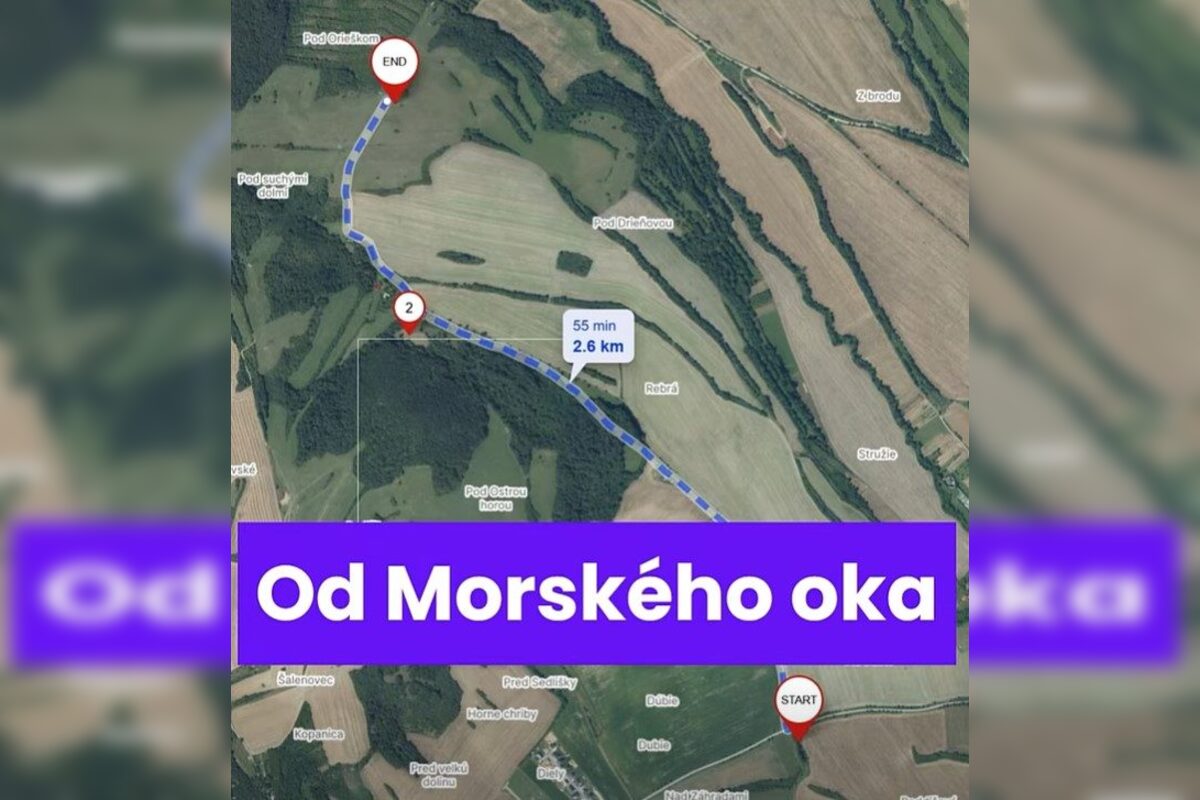 FOTO: Vandali poškodili a znehodnotili novú ohradu pre kravy v katastri obce Melčice v novom meste nad Váhom, foto 7