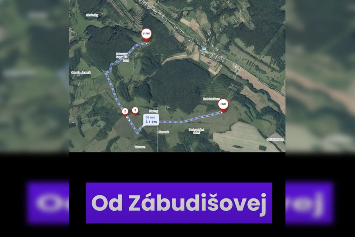 FOTO: Vandali poškodili a znehodnotili novú ohradu pre kravy v katastri obce Melčice v novom meste nad Váhom, foto 10