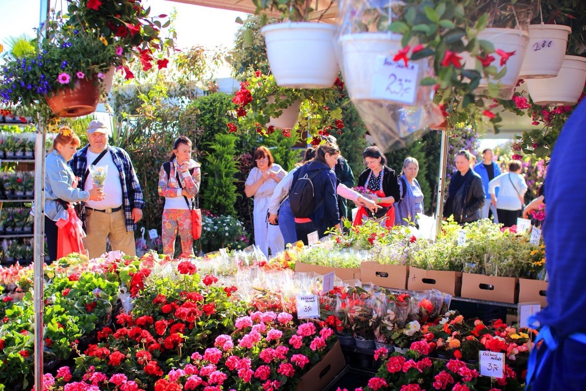 FOTO: Záradkár v Trenčíne, foto 6