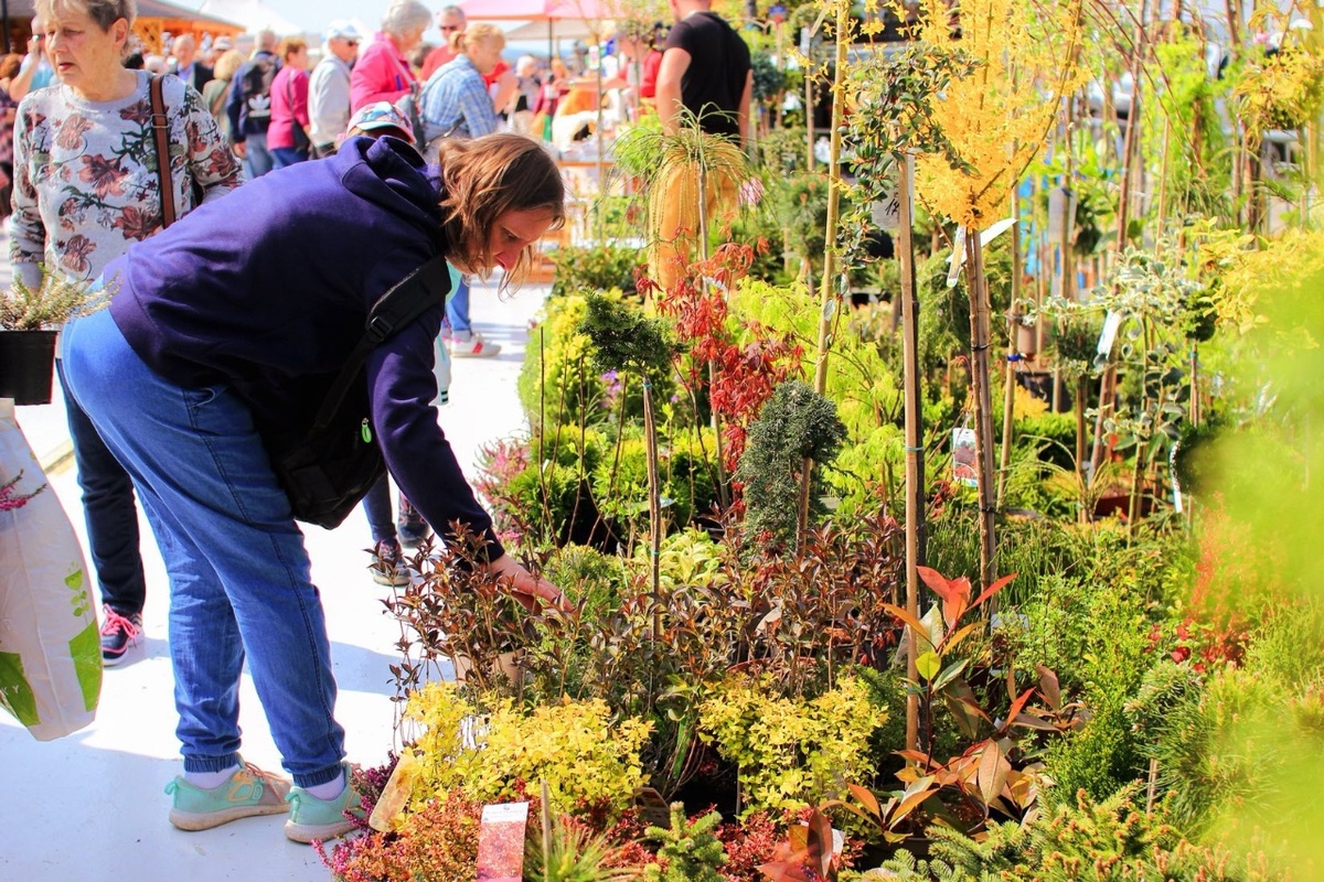 FOTO: Záradkár v Trenčíne, foto 8