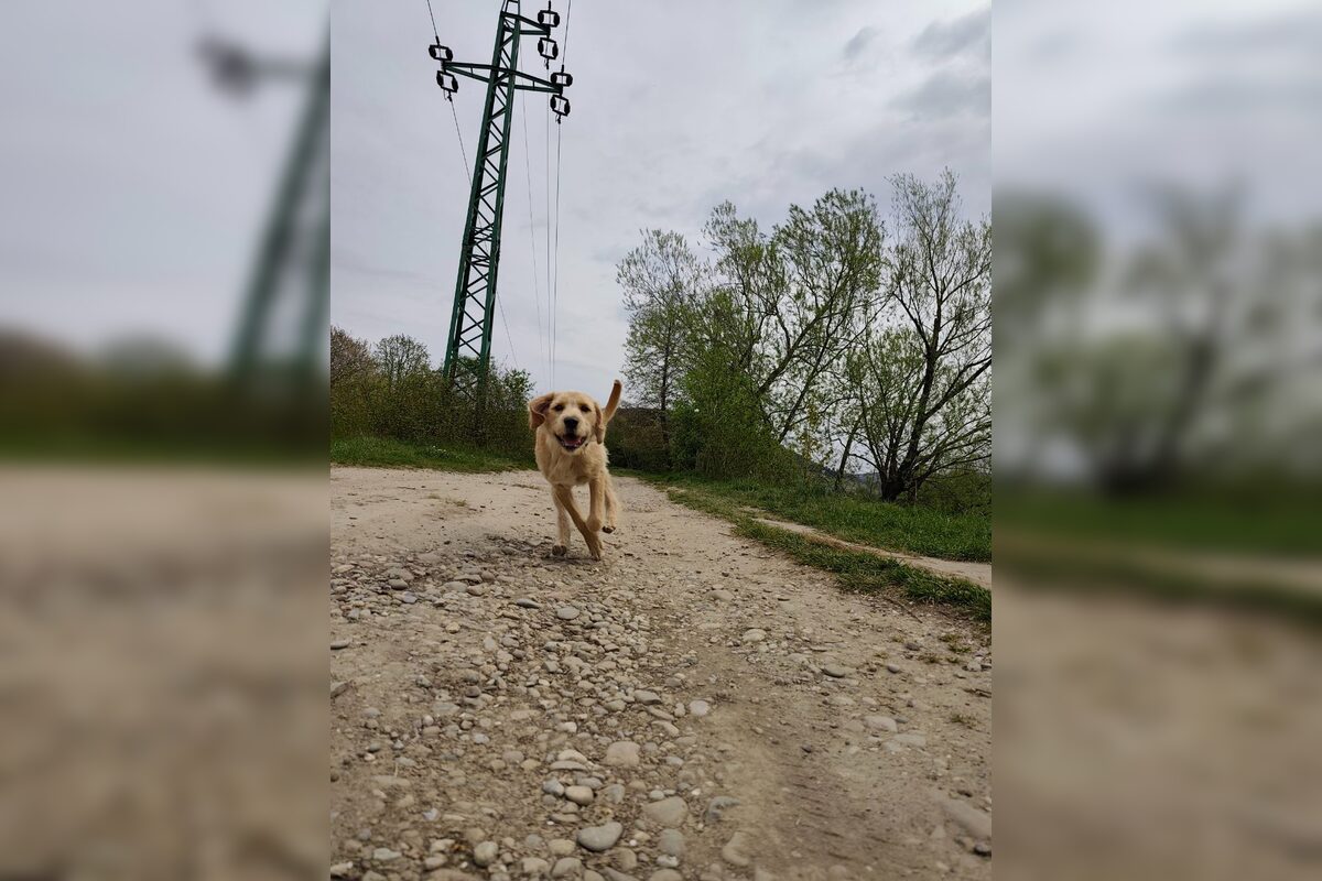 FOTO: Trenčania sa bavili o tom, kde radi trávia voľný čas, foto 1