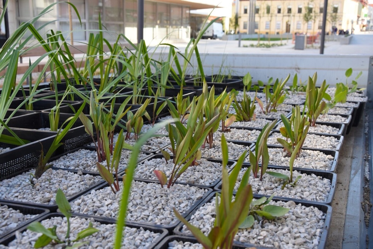 FOTO: Nové vodné plochy na Hviezdoslavovej ulici, foto 2